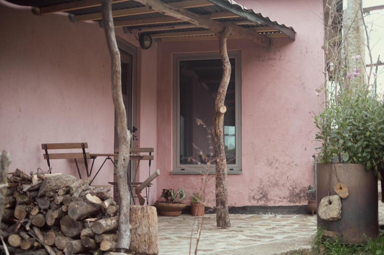 Cabana Do Dinamarques Em Arga De Baixo Bagian luar foto